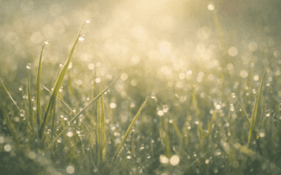 Pay Attention to the Simple Things